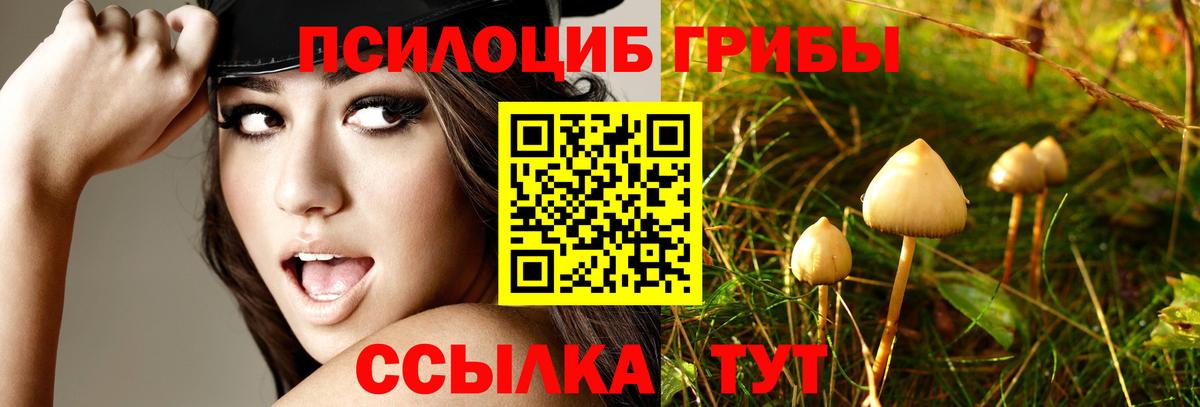 Псилоцибиновые грибы ЛСД  Вход с VPN  Советская Гавань  Галлюциногенные грибы Magic Shrooms 